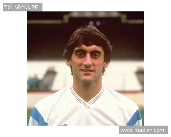 崇拜之光：璀璨足球明星